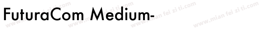 FuturaCom Medium字体转换